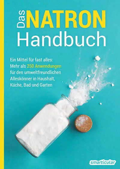 Buch Natron Handbuch