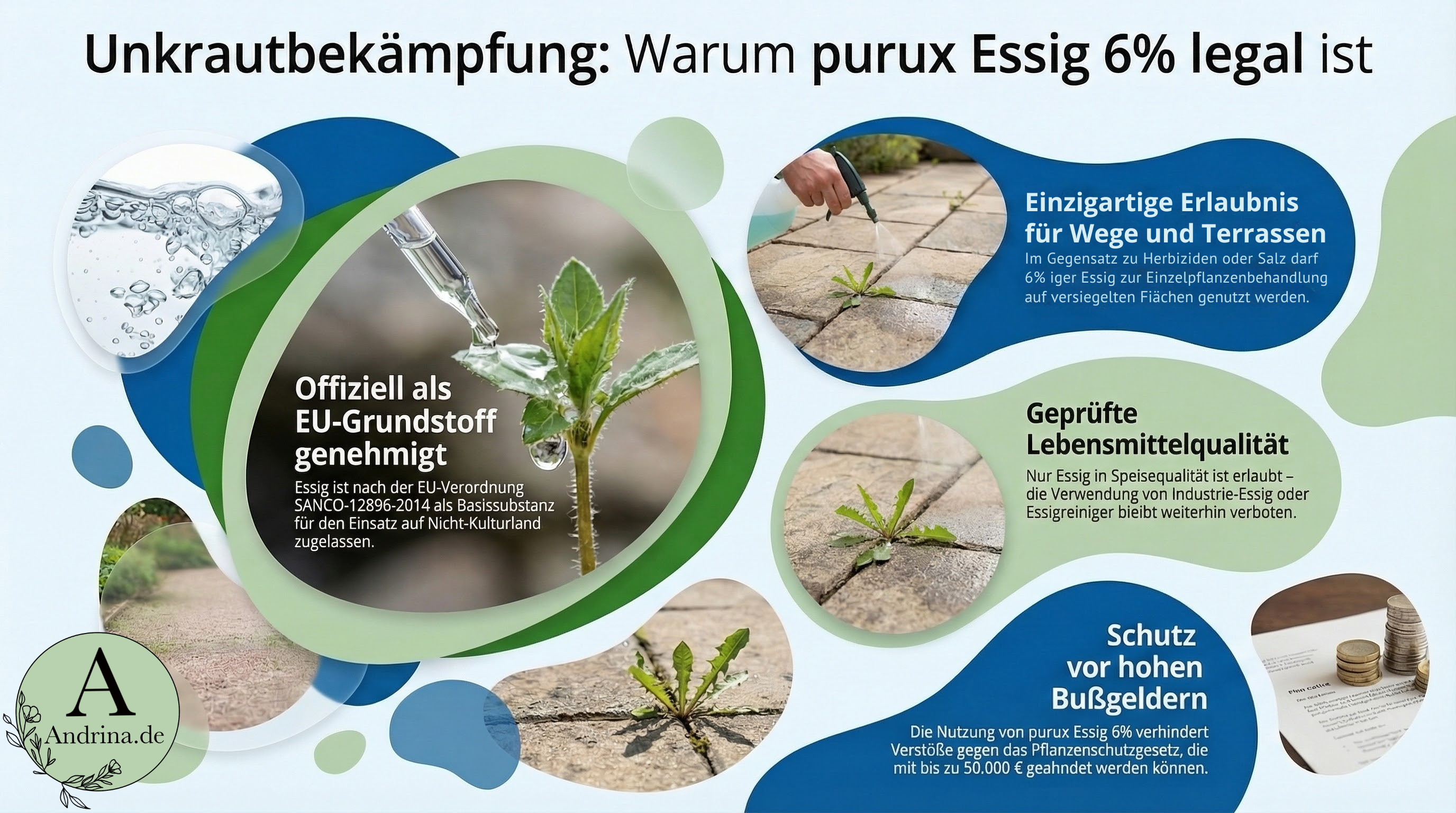 Unkraut im Garten: Warum purux Essig 6 % eine legale Lösung ist